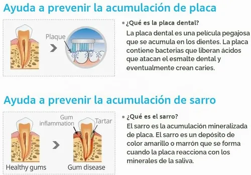Vista 4 de Pasta de dientes coreana Propóleo Abejas Sistema de Cuidado Oral Dental (7.05 Oz x 2 piezas)