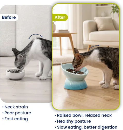 Vista 7 de PawsPik Lynx - Cuenco elevado de cerámica para perros y gatos, color Tazón elevado inclinado para alimentos para mascotas de 15°, apto para bigotes