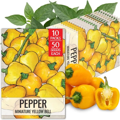 Vista 99 de Seed Needs - Semillas de pimiento arcoíris para plantar verduras, 1 paquete