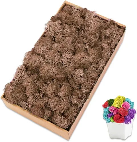 Vista 18 de Musgo de reno azul de 3.5 onzas, musgo preservado para plantas, decoración de musgo, musgo verde para manualidades, musgo para plantas en maceta