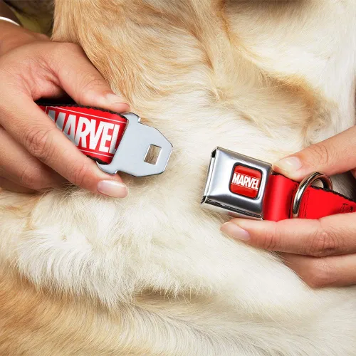 Vista 8 de Buckle-Down Collar de perro hebilla de cinturón de seguridad Marvel Red Brick Logo Rojo Blanco 9 a 15 pulgadas 1.0 pulgadas de ancho, multicolor