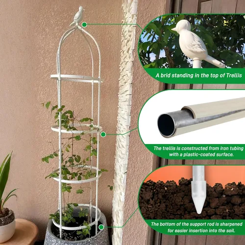 Vista 2 de Enrejado de jardín para plantas trepadoras, tubo de metal inoxidable con soporte resistente de 6 pies, soporte para plantas en maceta para jardín
