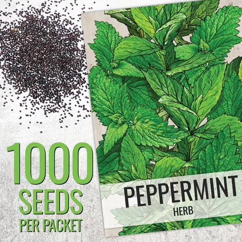 Vista 2 de Seed Needs - Paquete variado de 2 semillas de menta y hierbabuena