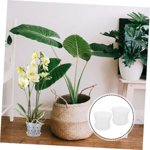 Vista 6 de Macetas transpirables para orquídeas, paquete de 2 recipientes de plástico para plantas, control de raíces para orquídeas, macetas decorativas