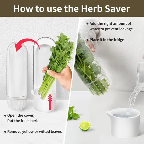 Vista 5 de Conservador de hierbas para refrigerador, protector de hierbas para refrigerador, botella de conservación de verduras para cilantro, menta, perejil