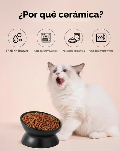 Vista 4 de LoeJan Tazón Elevado para Comida de Gatos, Tazón de Agua de Cerámica Elevado e Inclinado de 5 Oz, Platos Anti Vómito que Protegen la Columna Negro