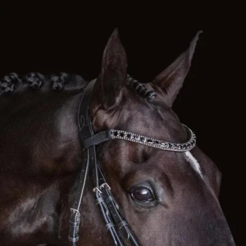 Vista 3 de Audrey' Brida de Cuero de Lujo - (Doble) Black Warmblood