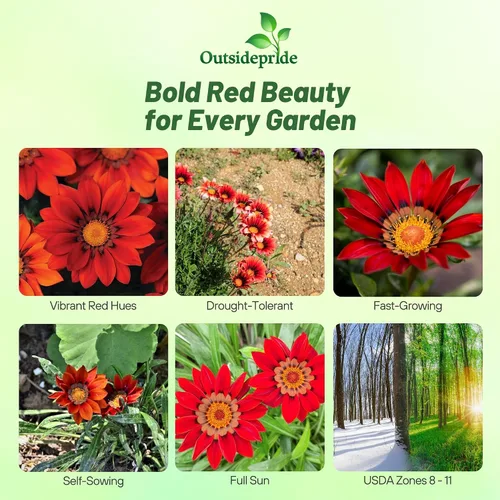 Vista 2 de Outsidepride 25 semillas perennes Gazania Red Shades tolerantes al calor y la sequía semillas de cobertura del suelo para plantar