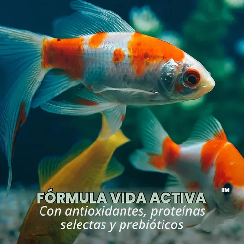 Vista 10 de Tetra Goldfish Flakes, dieta nutricionalmente equilibrada para peces de acuario, copos enriquecidos con vitamina C, 0.42 onzas