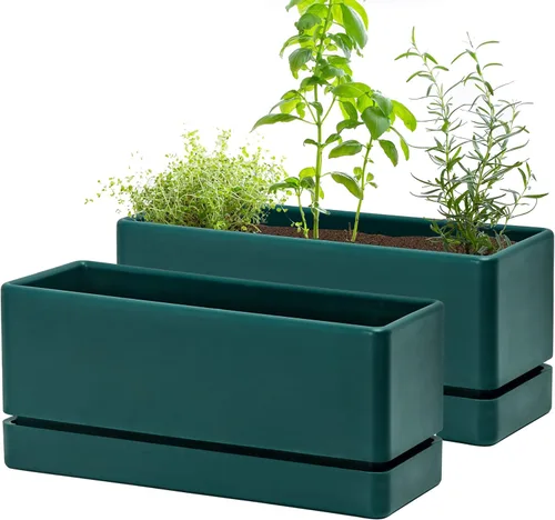 Vista 8 de D'vine Dev - Maceta para ventana de 12 pulgadas, maceta rectangular de plástico para hierbas con agujeros de drenaje y plato, maceta de suculentas