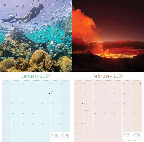 Vista 657 de Calendario de grises africanos 2025 2026 – Planificador mensual de pared de aves africanas – 12 x 18 pulgadas (abierto), calendario de pared