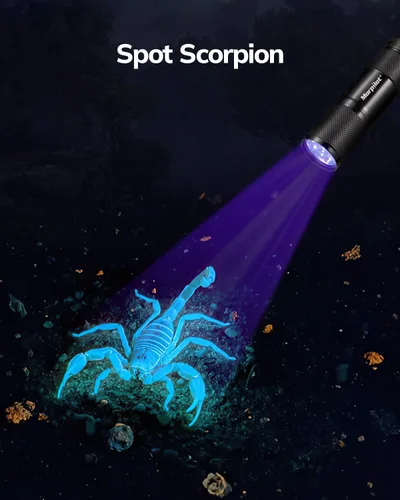 Vista 6 de Morpilot - Linterna de luz negra mini UV: linternas de luz negra de 395nm, luz de 9 led para detector de orina de mascotas para perro/gato, manchas