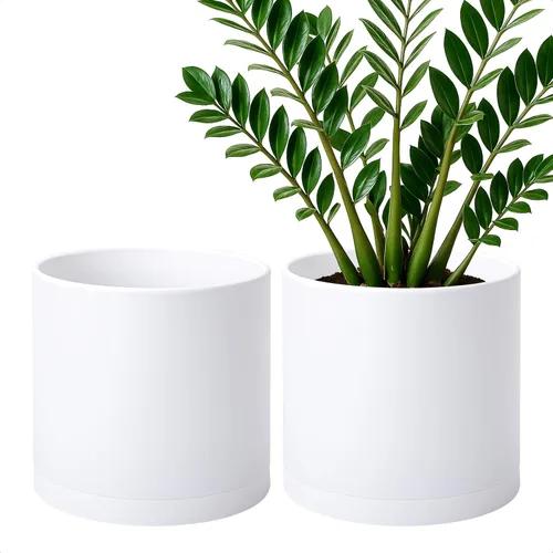 Vista 28 de D'vine Dev - Paquete de 2 macetas de plástico modernas de 4 pulgadas, pequeñas macetas de jardín para plantas con orificios de drenaje y platillos