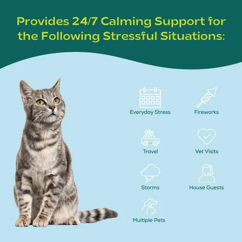 Vista 5 de Collar calmante de feromonas para gatos de hasta 30 días de alivio del estrés promueve la calma, reduce la ocultación, maullido excesivo, marcas