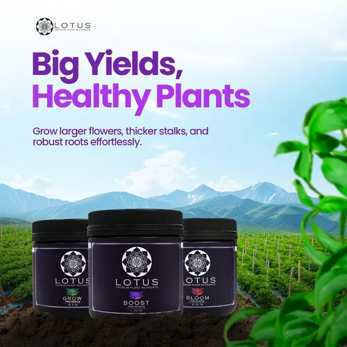 Vista 3 de Lotus Nutrients Kit de iniciación (Bloom, Boost and Grow) – Nutrientes vegetales más avanzados y potenciador de floración – Fertilizante vegetal