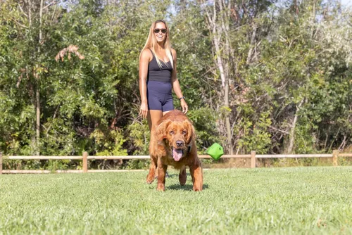 Vista 8 de Chuckit! Erratic Dog Ball - Juguete interactivo para perros, rebotes impredecibles, pequeño de 2 pulgadas para razas pequeñas y cachorros, paquete