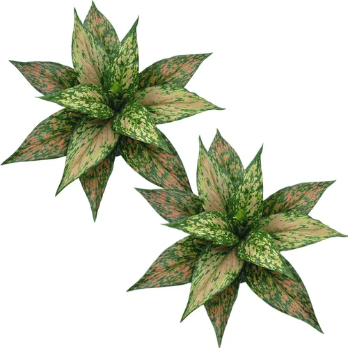 Vista 45 de PASYOU Planta artificial de Aglaonema, plantas falsas de Codiaeum Variegatum, 2 unidades, arbustos de plástico de hoja perenne de magnolia