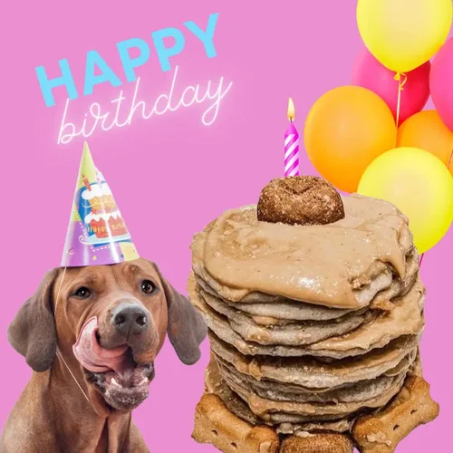 Vista 6 de BUDDY BUDDER Panqueques de cumpleaños de Bash Pooch - Regalo divertido, brunch con tu cachorro, o apilarlos para cumpleaños de perro con vela, 100%