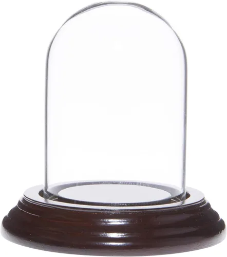 Vista 4 de Plymor 2" x 3" Mini cristal Display Dome Cloche (base de chapa de madera negra)