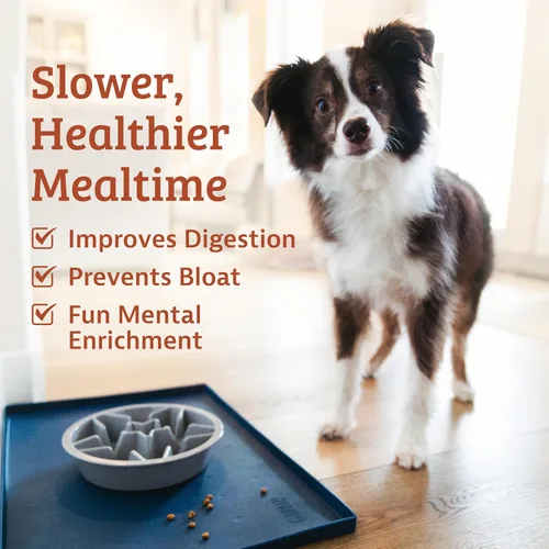Vista 2 de Leash Boss Tazones de Alimentación Lenta para Perros - 1.5 Tazas, Cuenco de Comida para Perros Tipo Rompecabezas con Orificios de Alimentación, Se