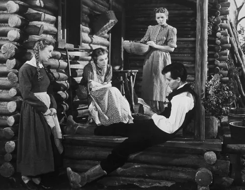 Vista 2 de Young Mr. Lincoln (The Criterion Collection) DVD