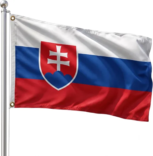 Vista 192 de DMSE - Bandera nacional beninesa beninesa de la República de África Occidental, 2 x 3 pies, 100 % poliéster, 100 % poliéster, resistente a los rayos