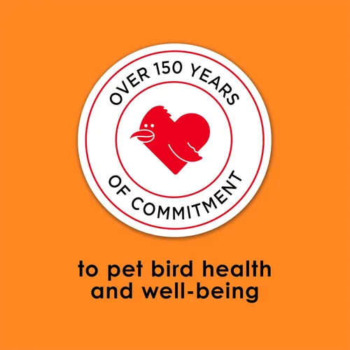 Vista 10 de Kaytee Fiesta Big Bites Small Parrot & Conure - Alimento nutritivo y divertido, apoya la piel, las plumas, la digestión, la salud del cerebro