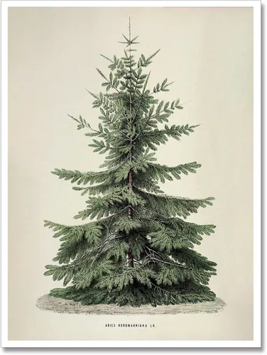 Vista 14 de Huabsad Arte de pared vintage de Navidad, regalos retro para niños, niñas lindas abrazando ciervos, impresiones estéticas de imágenes rústicas