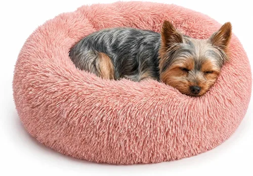 Vista 26 de Cama pequeña para perros extra pequeños para caniche de juguete Chihuahua Pomerania