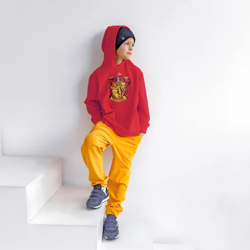 Vista 5 de Harry Potter Hogwarts School of Witchcraft and Wizardry House Crest - Sudadera con capucha para jóvenes