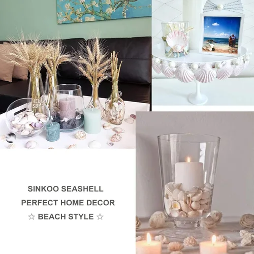 Vista 7 de SINKOO Surtido de conchas pequeñas de concha marina blanca natural a granel para decoración de playa de bricolaje