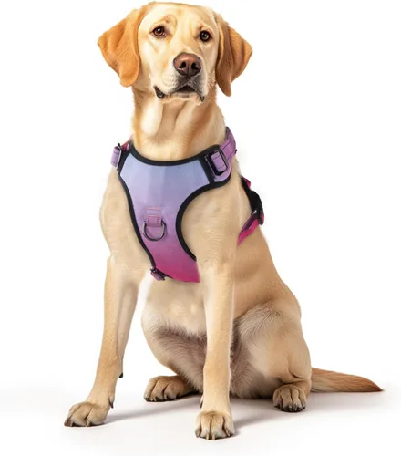 Vista 10 de Arnés para perro sin tirones, chaleco reflectante ajustable con clip delantero/trasero, asa de fácil control para perros de tamaño mediano, grande