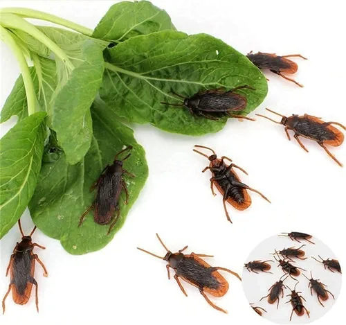 Vista 3 de Ksquares, cucarachas falsas de broma, trucos favoritos, juguetes de broma que se ven reales, insectos aterradores de plástico realistas, novedad
