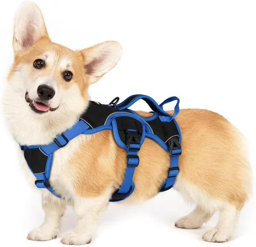 Vista 29 de rabbitgoo - Arnés para perros a prueba de fugas, arnés para mascotas acolchado y suave de cuerpo completo, arnés reflectante ajustable sin tirones
