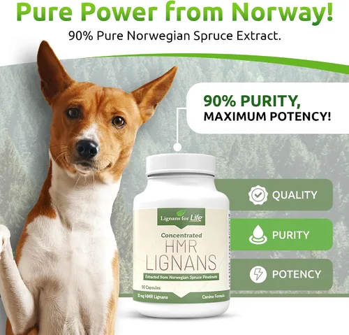 Vista 2 de Lignans For Life HMR LIGNANS Cápsulas de 10 mg – Perfecto para razas de perros pequeños – Vitamina para mascotas sanas Multivitamínico