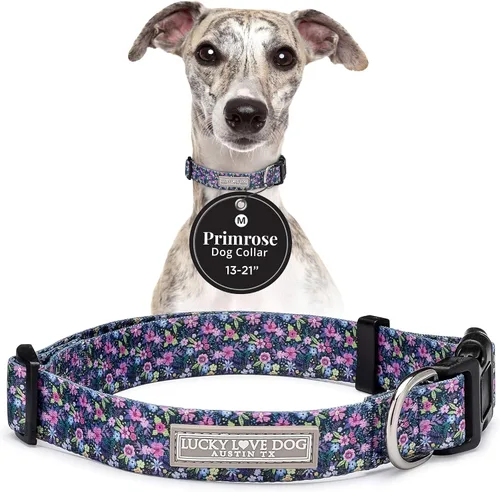 Vista 42 de Lucky Love Dog - Collar para perras pequeñas, diseño Blackbird de estampado alegre con flores de primavera y verano, talla XS Collar Blackbird