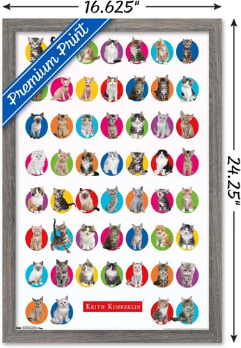 Vista 4 de Trends International Keith Kimberlin - Póster de pared de cuadrícula de gatito, 14.725 x 22.375 pulgadas, versión enmarcada de madera de granero