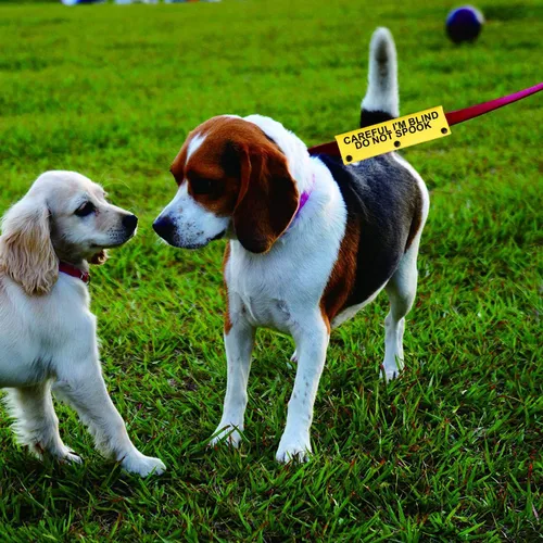 Vista 4 de Funda para correa para perro con discapacidad visual Careful I'm Blind Do Not Spook para perro, funda envolvente para regalo de cumpleaños