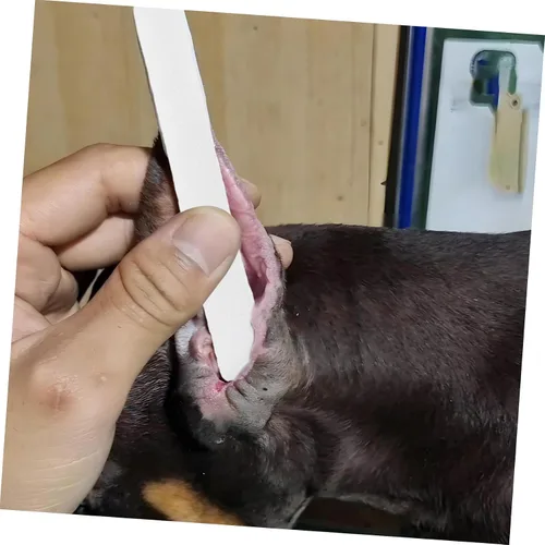 Vista 4 de 1 juego de varillas para orejas de perro, soporte duradero para orejas para razas Doberman, kit de accesorios para mascotas, fácil de usar, kit