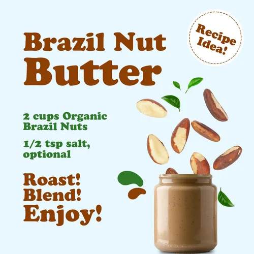 Vista 7 de Nueces de Brasil orgánicas y convencionales