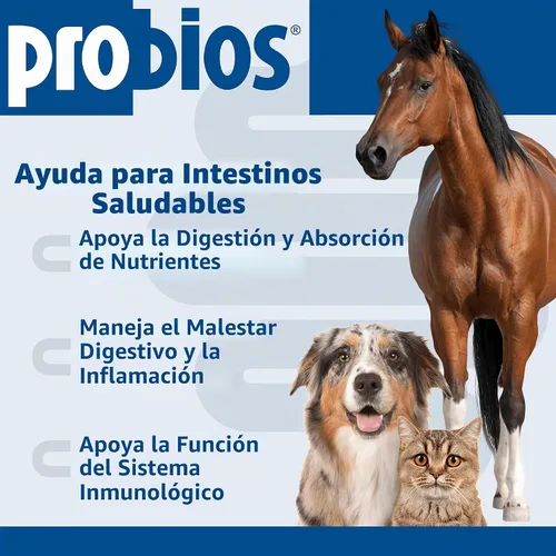 Vista 3 de Probios Apoyo Digestivo Probiótico para Todas las Especies, Probióticos para la Salud Intestinal, Polvo Dispersable, 240 g