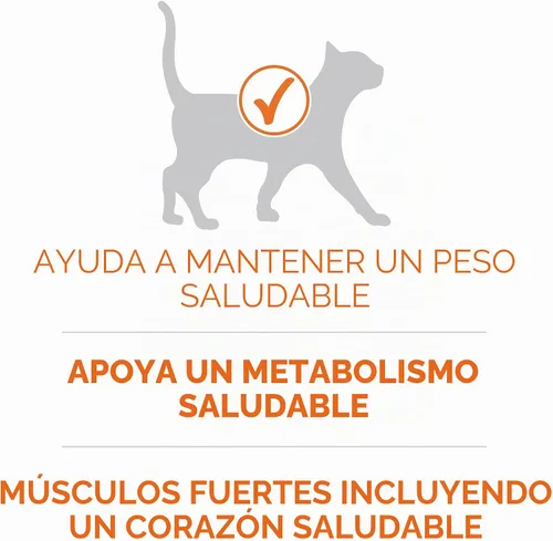Vista 3 de Purina ONE Alto Contenido de Proteínas, Peso Saludable Más Peso Ideal Con Pollo Comida Seca Para Gatos - Bolsa de 3.5 lb