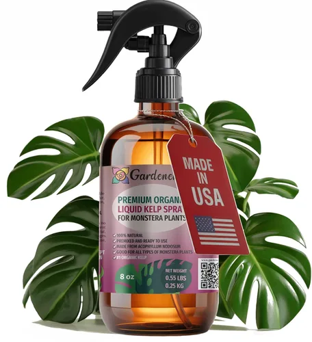 Vista 45 de GARDENERA Spray orgánico profesional de algas marinas para plantas AGLAONEMA – 8 oz – Rocío fertilizante de algas marinas y algas marinas totalmente