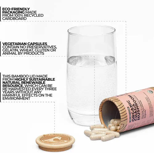 Vista 2 de Suplemento orgánico de hongos Chaga (extracto de Inonotus) 200 cápsulas vegetales - Combate la inflamación y apoya la salud de las articulaciones.