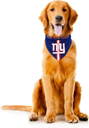 Vista 35 de Bandana de la NFL Team Dog, Rojo, S Arizona Cardinals