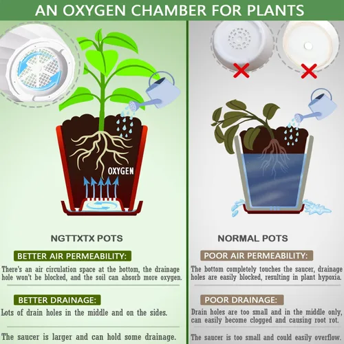 Vista 3 de Macetas de 8 pulgadas con agujeros de drenaje y platillos - Macetas para plantas de interior - Macetas de plástico blanco para plantas al aire libre