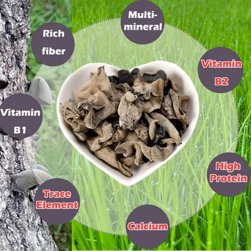 Vista 4 de VIGOROUS MOUNTAINS - Setas orgánicas secas comestibles de madera para orejas de hongos negros, 4 onzas Auricularia Auricula-judae para cocinar