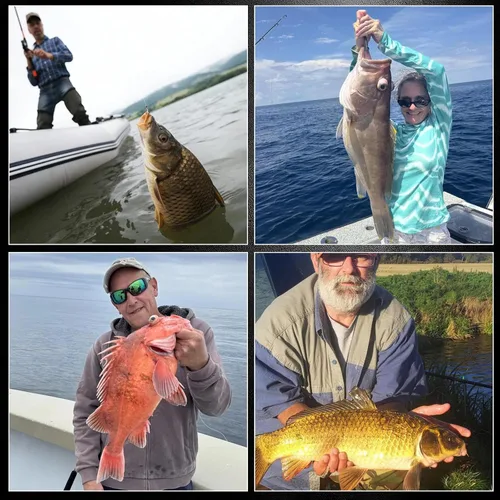 Vista 7 de FishTrip Paquete de 50/100/120/210 anzuelos de pesca de pulpo, ganchos circulares de pico compensado para anzuelos de agua salada y agua dulce