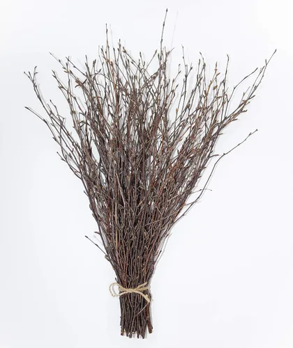 Vista 14 de ECOVENIK 25 piezas - Ramas - 28.7 in, ramitas de abedul natural, paquete de 20-25 tallos, largo para jarrones de suelo, (blanco y gris)