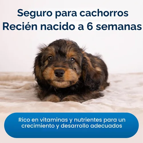Vista 4 de Pet-Ag Esbilac - Líquido de reemplazo de leche para cachorros, 11 onzas, paquete de 4, fórmula lista para alimentar para cachorros con vitaminas